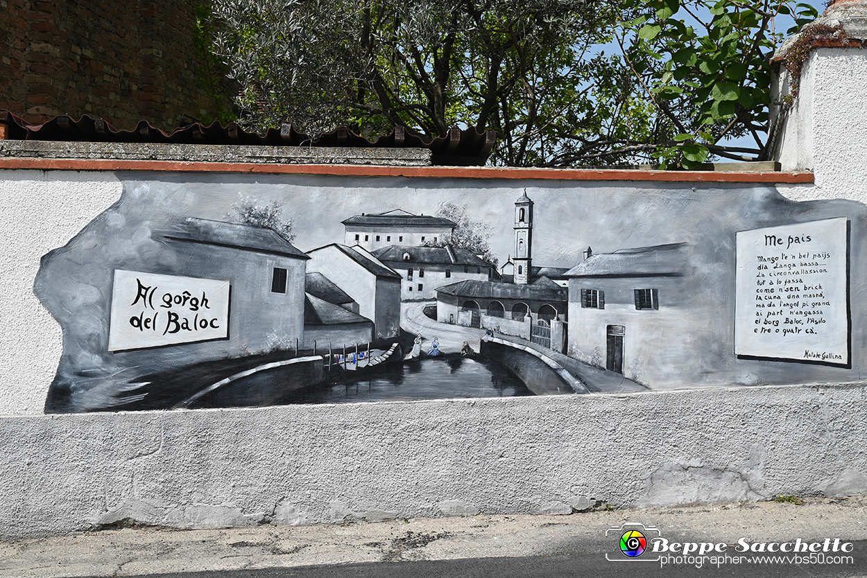 VBS_3027 - Mango (Cuneo) - Gnomovia.jpg